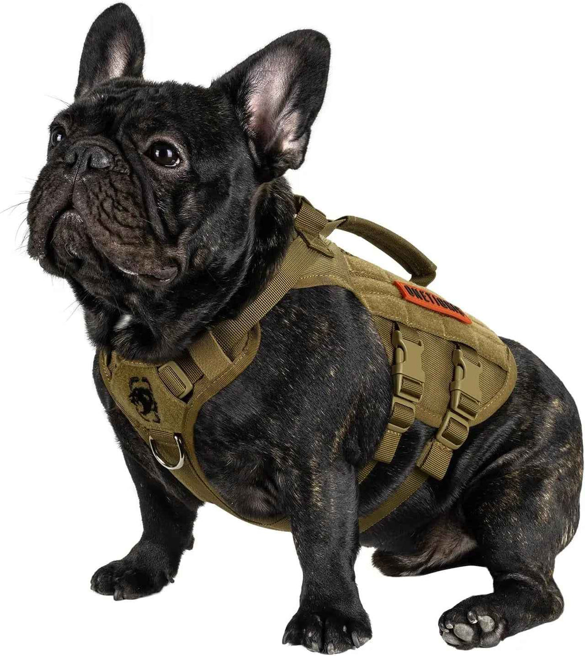 1000D Nylon Tactical Dog Harness – Dual Grab Handles