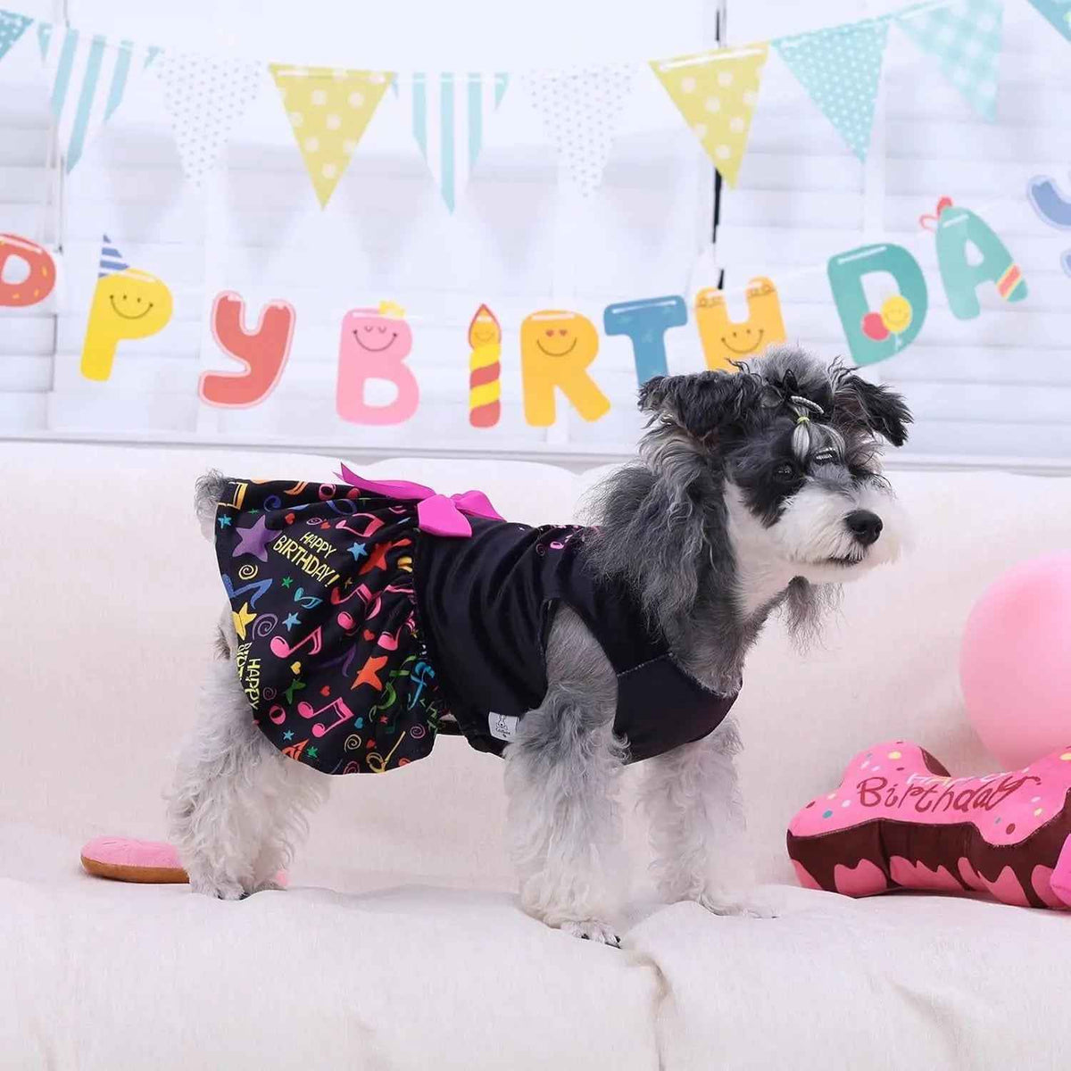 Velvet Dog Birthday & Holiday Dress, XXS–L