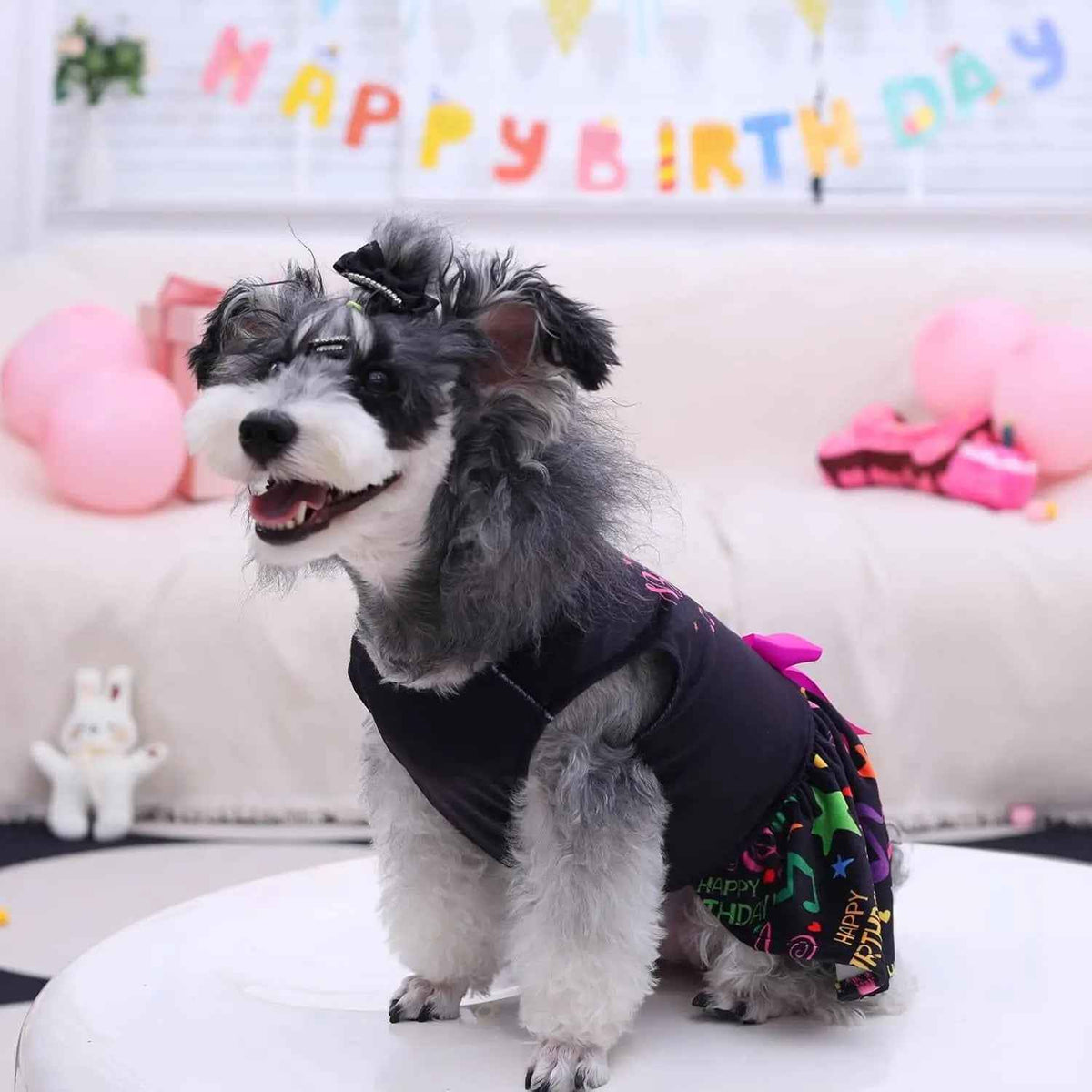 Velvet Dog Birthday & Holiday Dress, XXS–L
