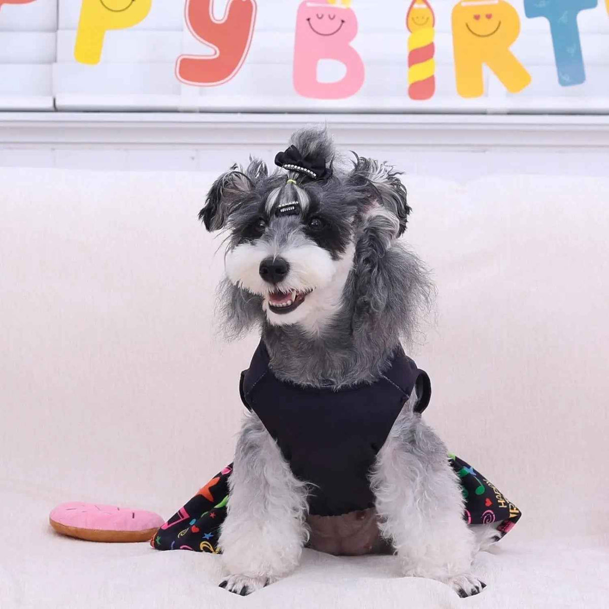 Velvet Dog Birthday & Holiday Dress, XXS–L