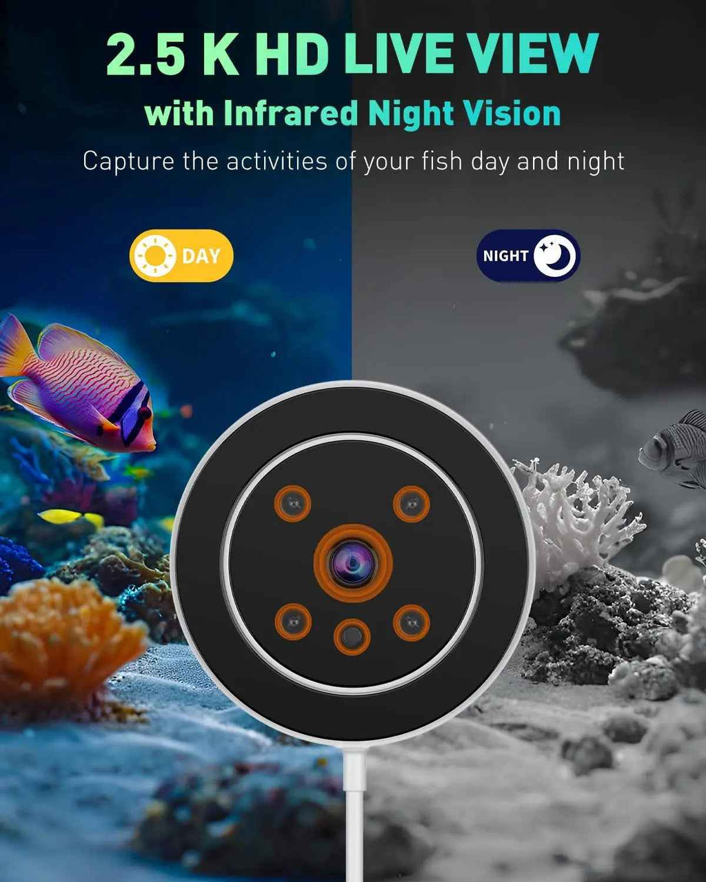 Pawfly WiFi Fish Feeder with Camera – 230ml, App Alerts