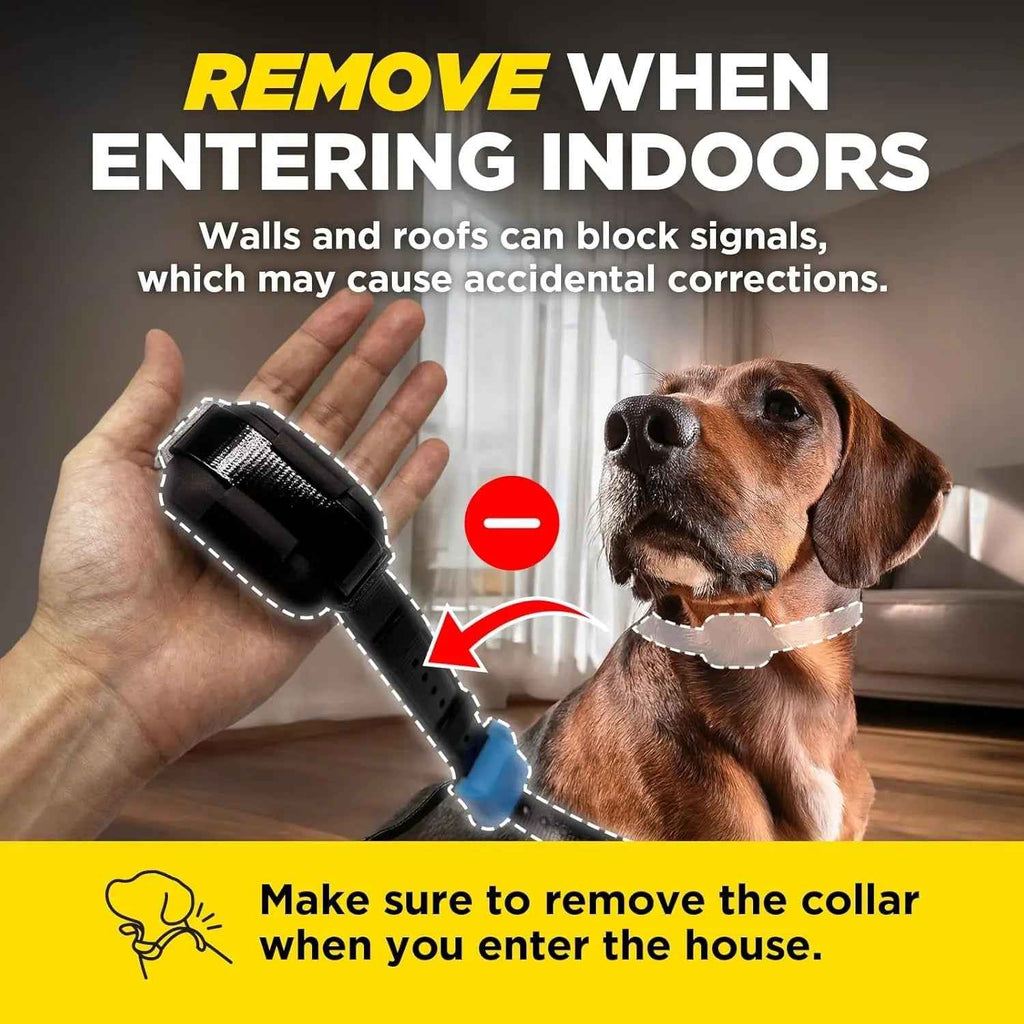 Wireless Dog Fence System, No Dig, 3/4 Acre, App Control