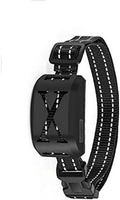 2-in-1 Wireless Dog Fence & Collar System – Expandable