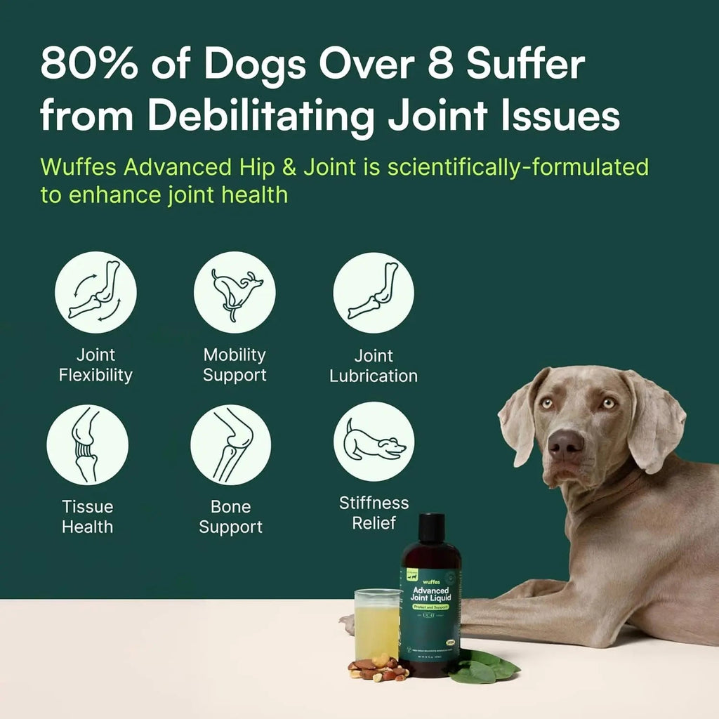 Wuffes Advanced Joint Liquid for Dogs, Hip & Mobility Support 16oz