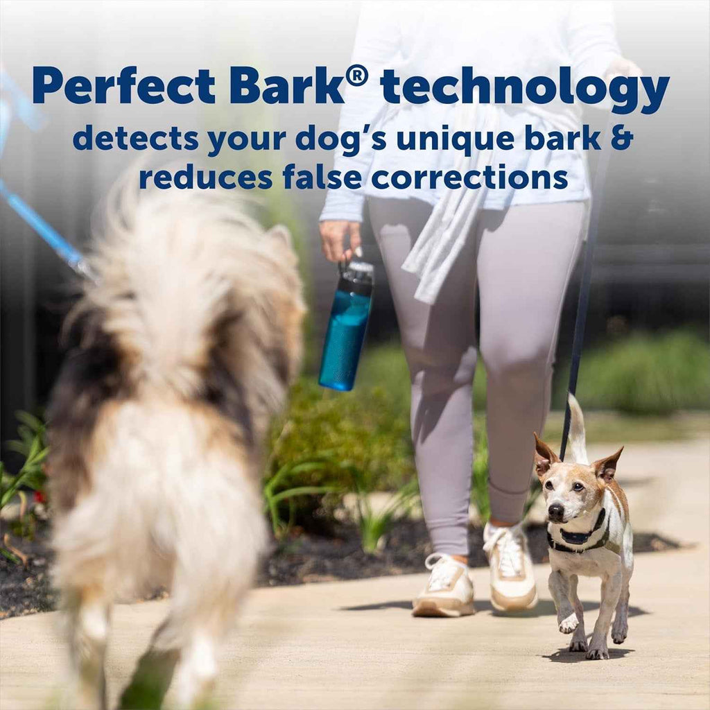 PetSafe NanoBark 2.0 Bark Collar for Small Dogs