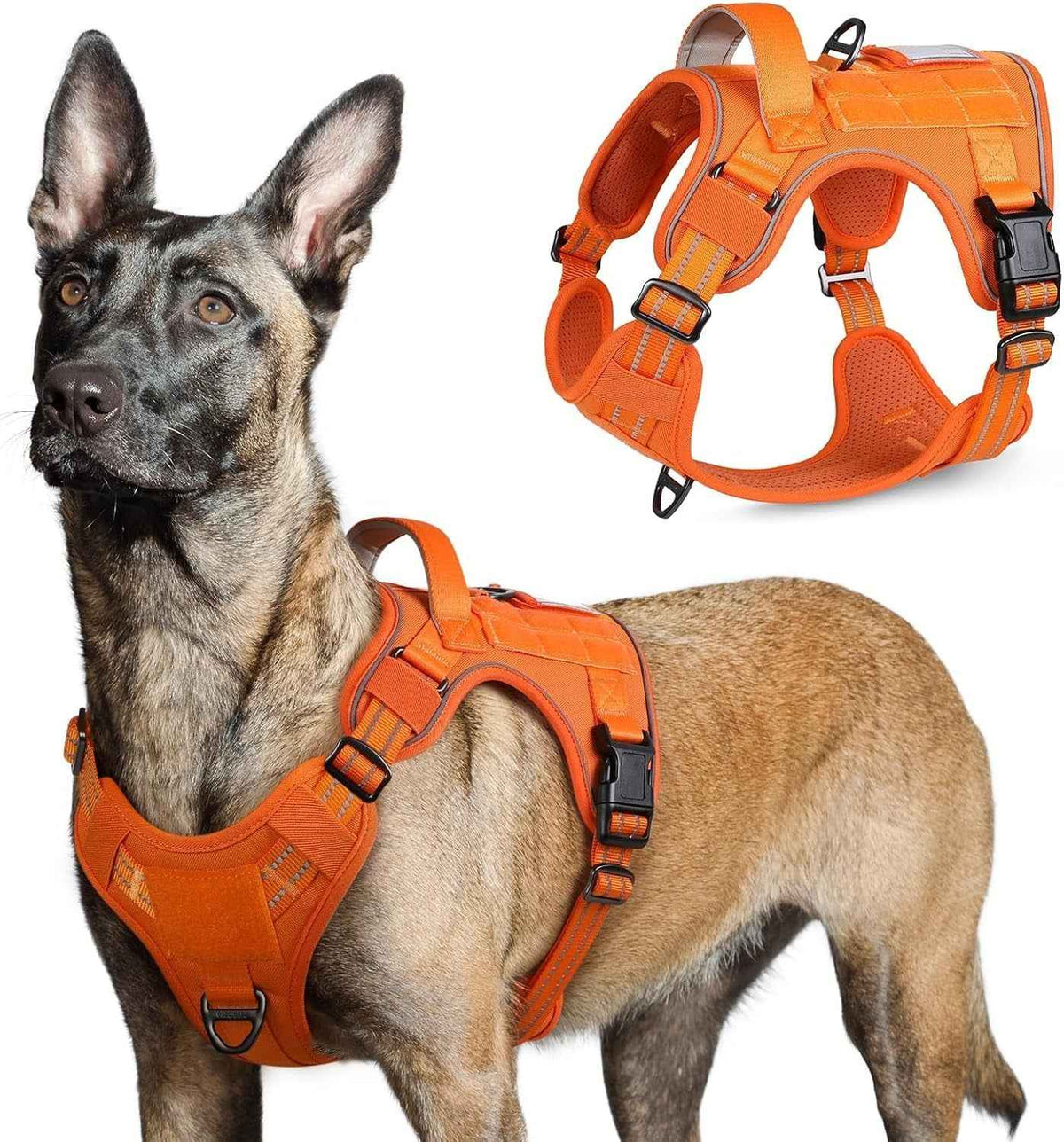 Adjustable MOLLE Harness Vest – Large Breeds, No-Pull