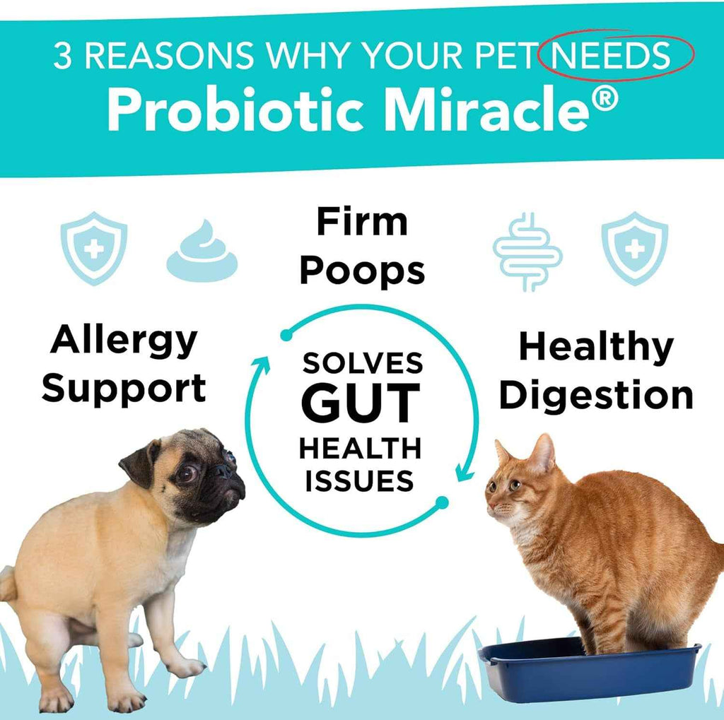 Dog Probiotics Powder 360 Scoops Digestive & Immune Support