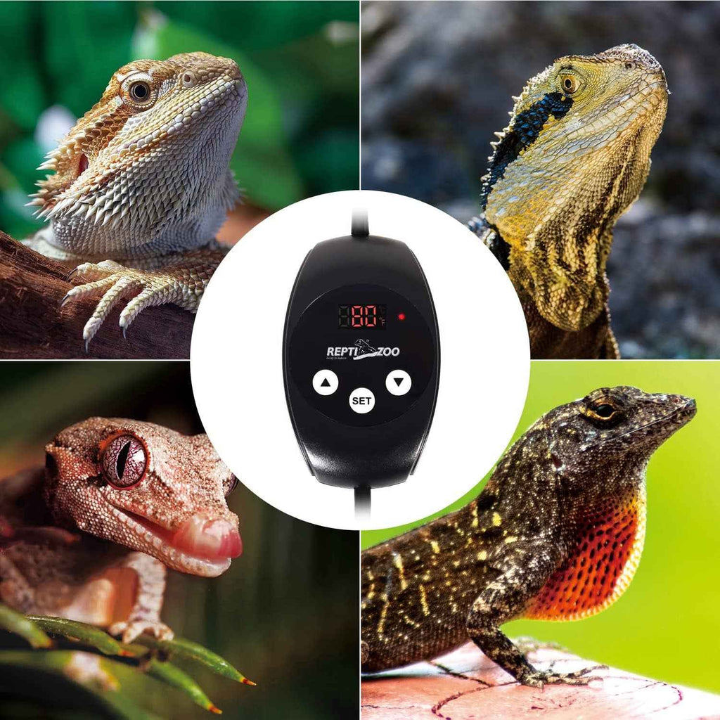 Reptile Thermostat PID Dimming Controller 300W Heat Lamp