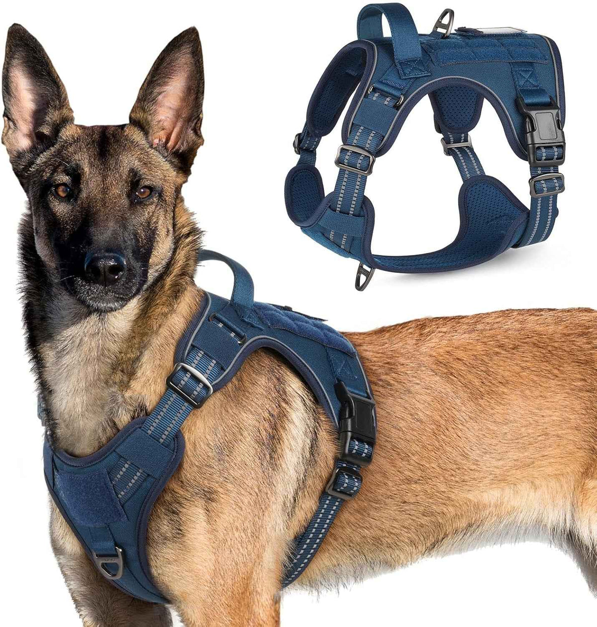 Adjustable MOLLE Harness Vest – Large Breeds, No-Pull
