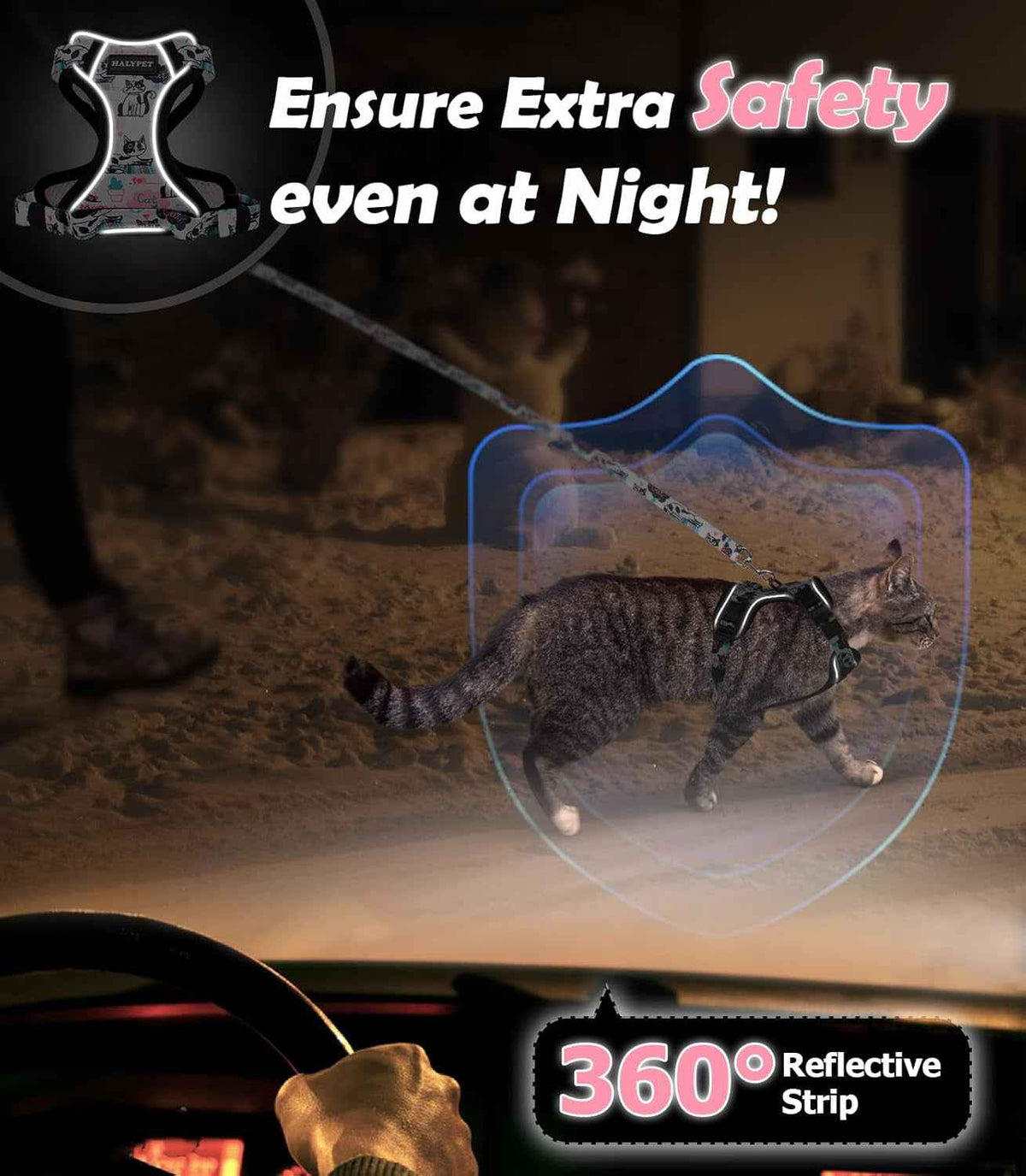 Escape-Proof Cat Harness & Leash Set, 59-Inch, XS–M