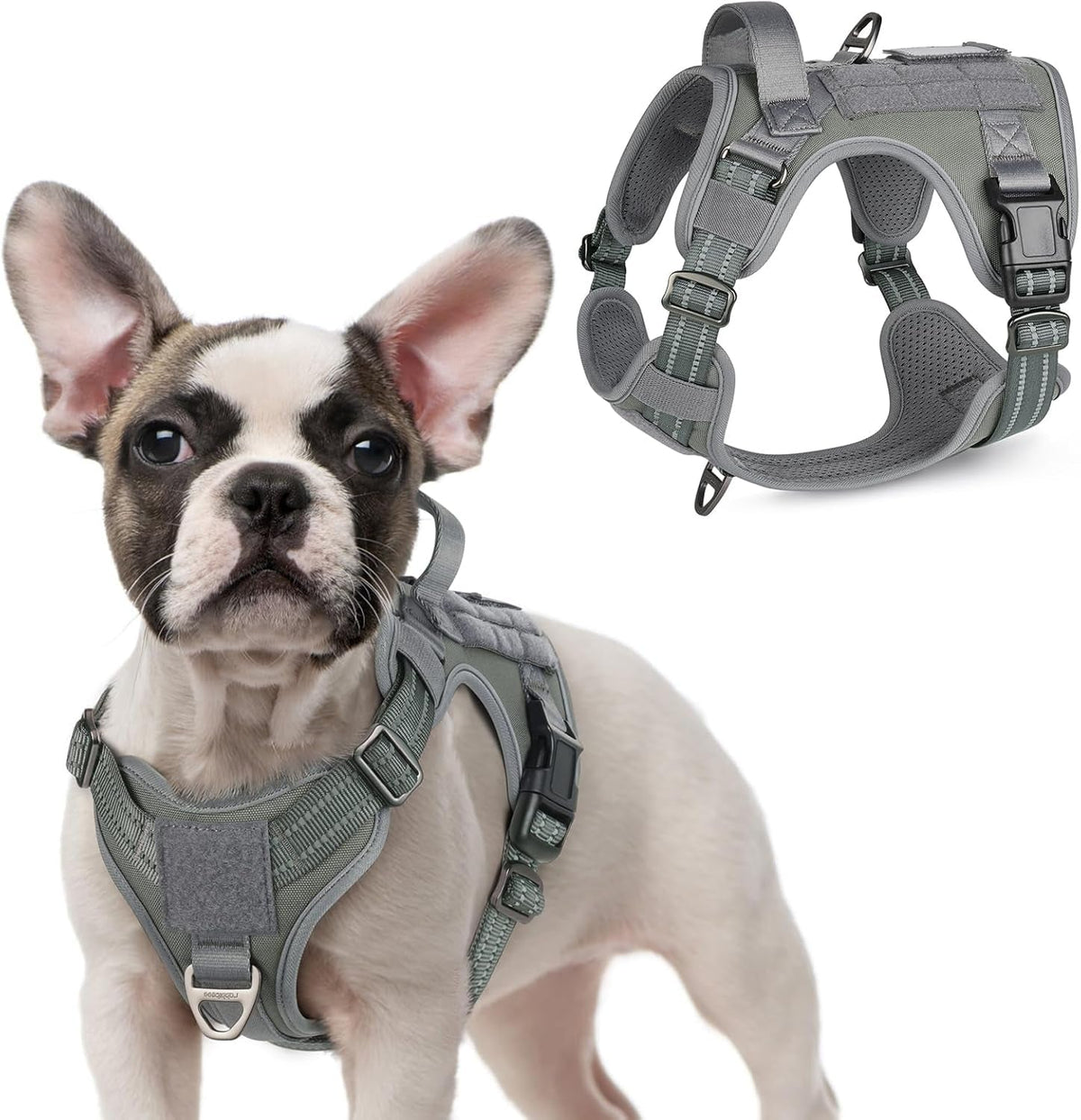 Adjustable MOLLE Harness Vest – Large Breeds, No-Pull