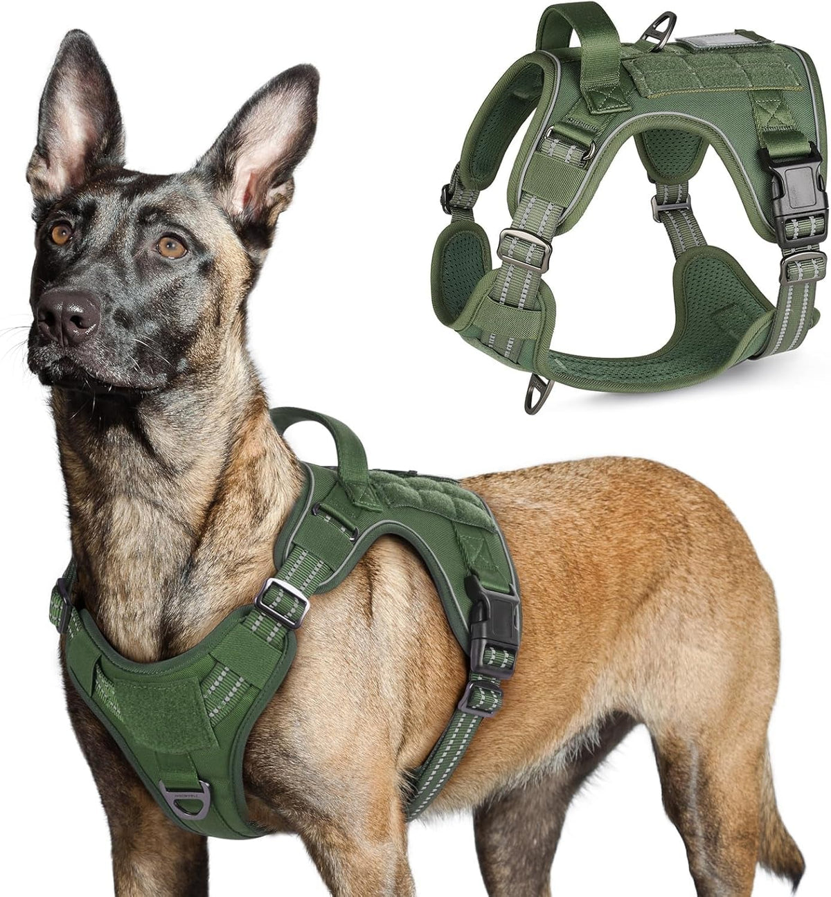 Adjustable MOLLE Harness Vest – Large Breeds, No-Pull