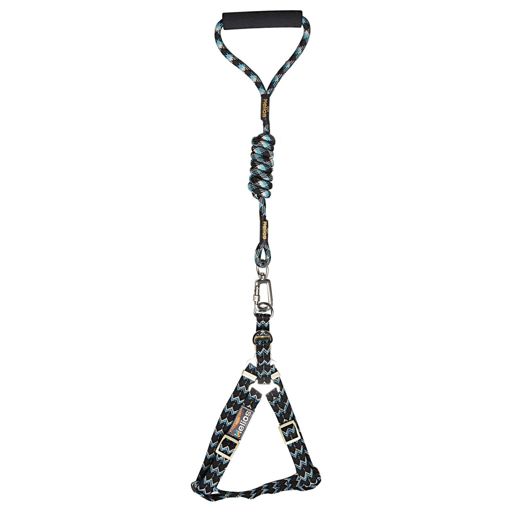 Dog Helios Surfside Designer Leash and Harness