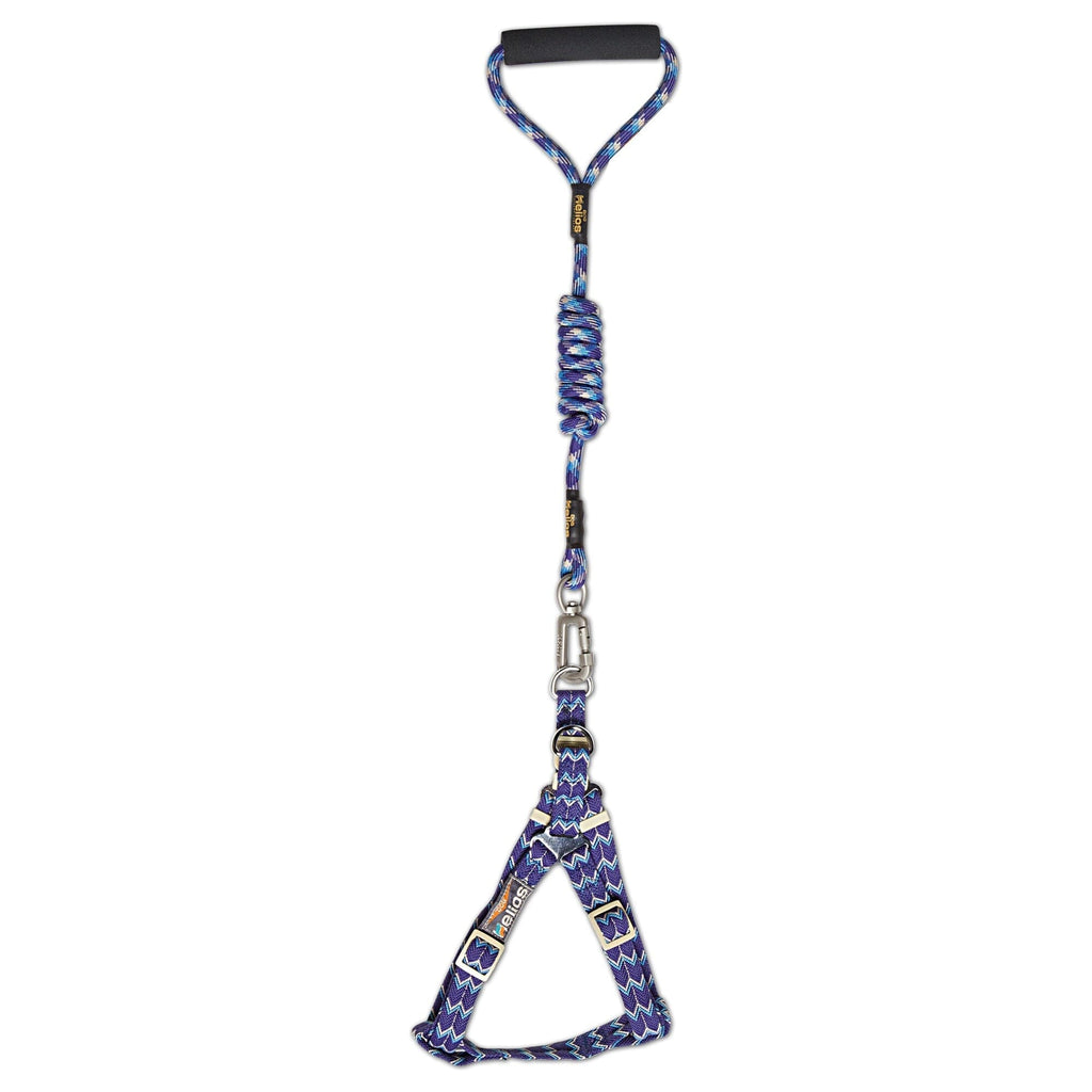 Dog Helios Surfside Designer Leash and Harness