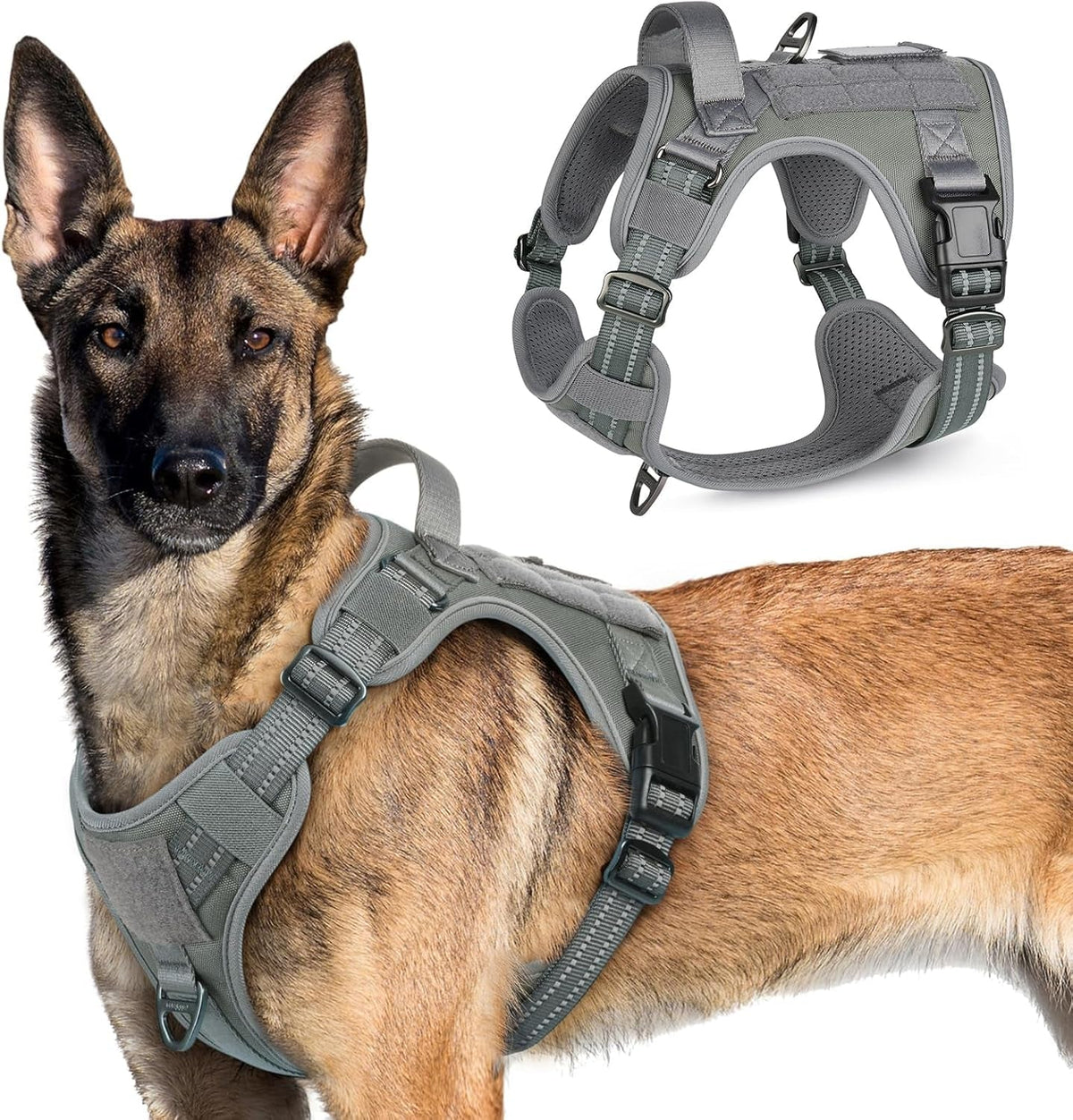 Adjustable MOLLE Harness Vest – Large Breeds, No-Pull