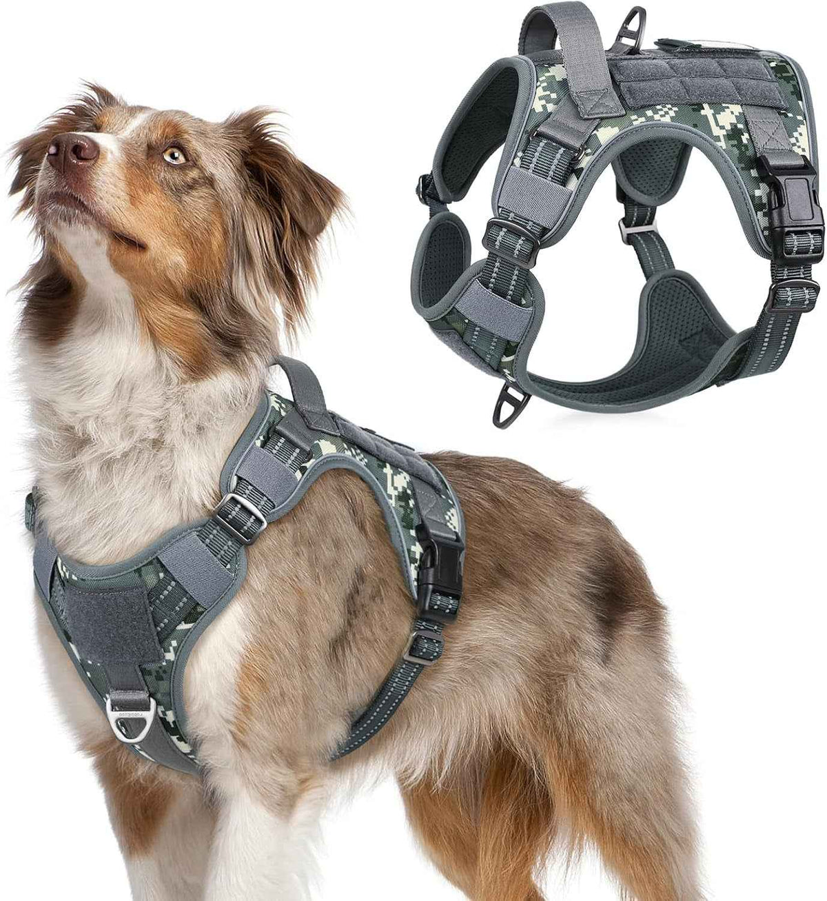 Adjustable MOLLE Harness Vest – Large Breeds, No-Pull