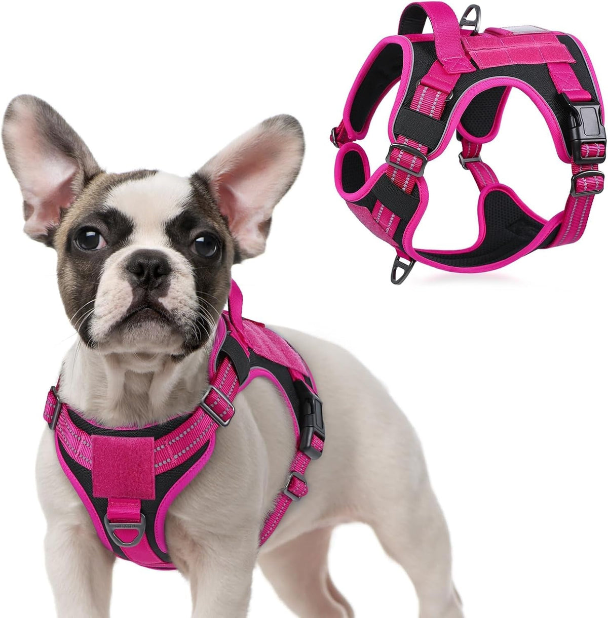 Adjustable MOLLE Harness Vest – Large Breeds, No-Pull