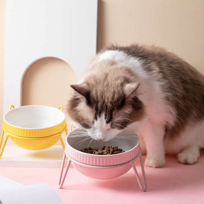 Ceramic Pet Bowl High Foot Neck Protection Snacks Anti-black Chin Oblique Mouth
