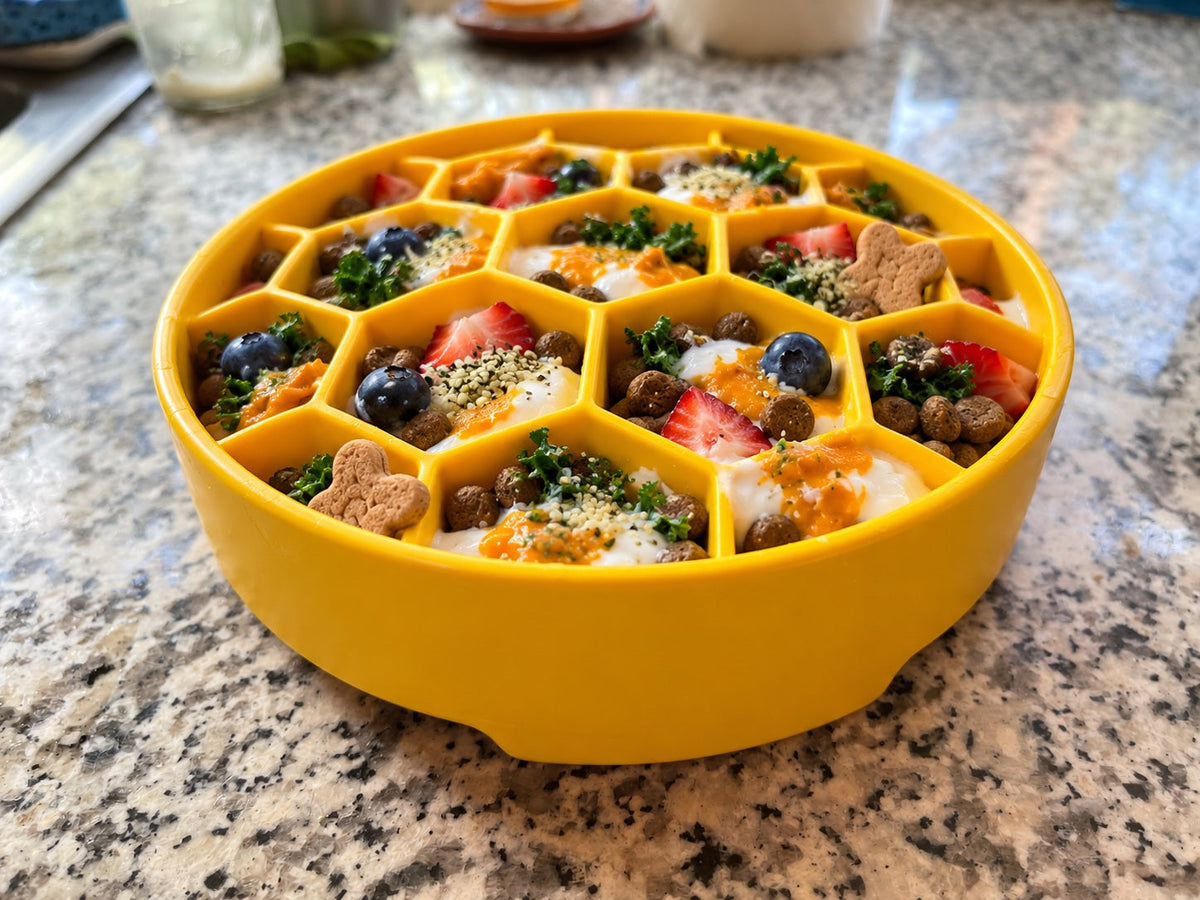 Honeycomb eBowl Deep Slow Feeder Dog Bowl for Enrichment | USA Made