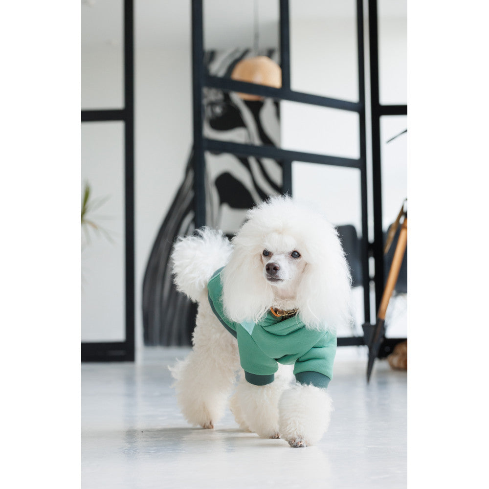 Pet Fashion Woody Hoodie for Dogs (B2B)