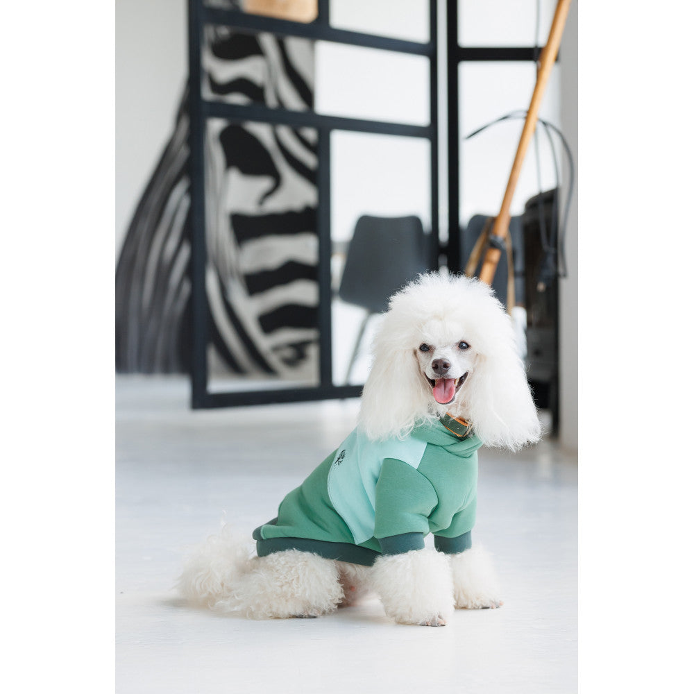 Pet Fashion Woody Hoodie for Dogs (B2B)