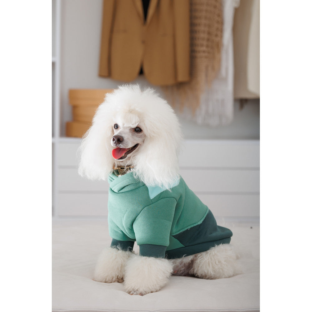 Pet Fashion Woody Hoodie for Dogs (B2B)