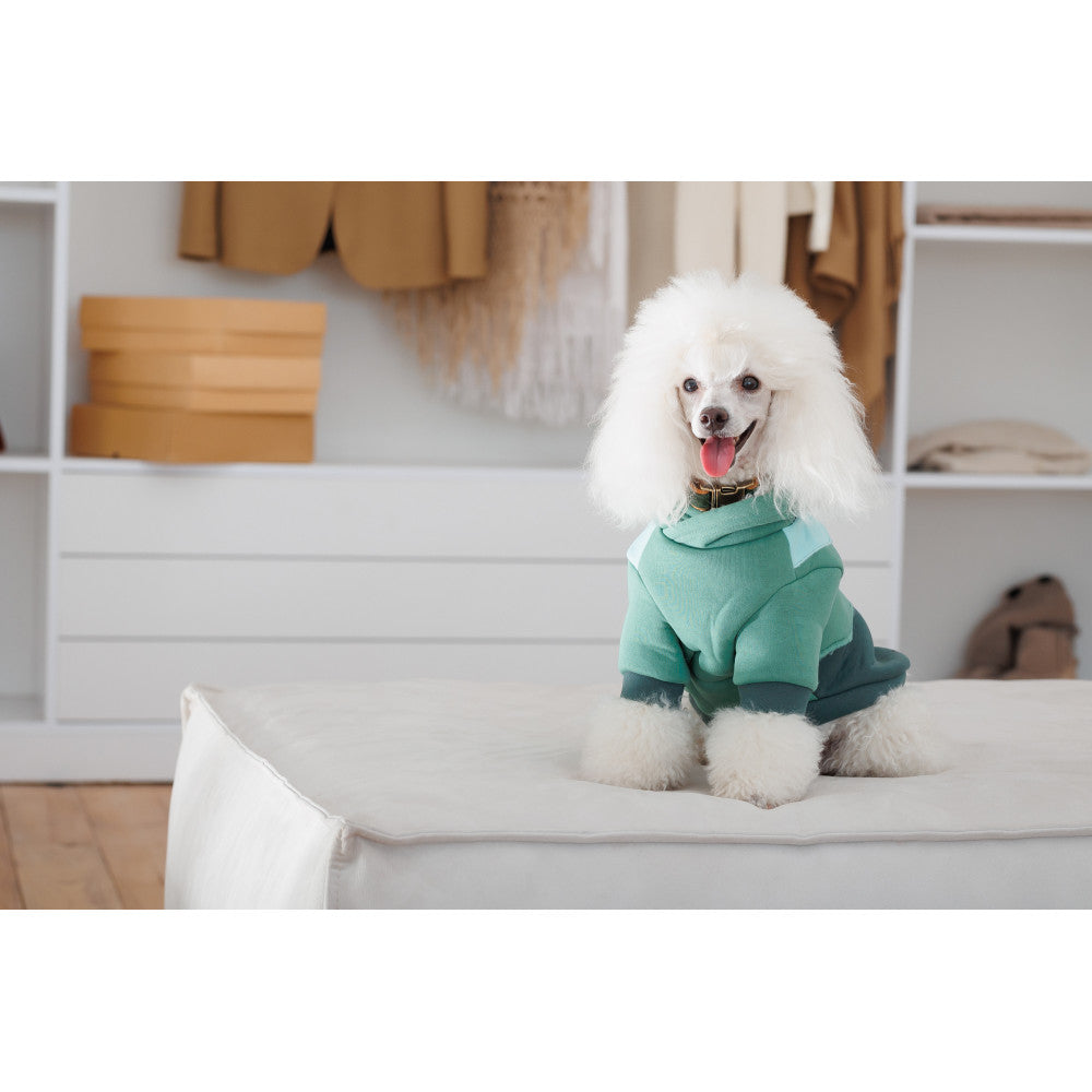 Pet Fashion Woody Hoodie for Dogs (B2B)