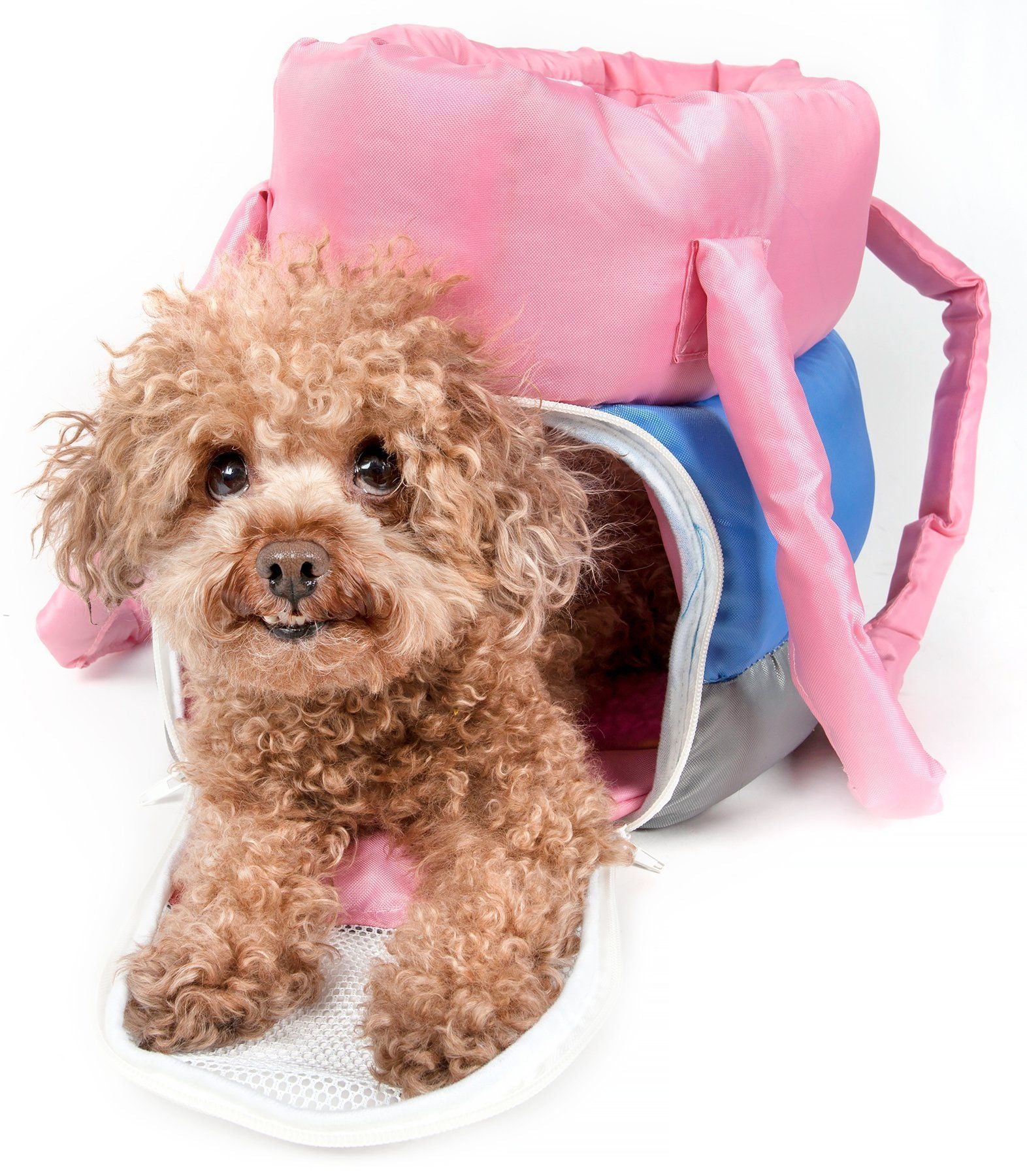 Pet Life ® 'Bubble-Poly' Tri-Colored Winter Insulated Fashion Designer Pet Dog Carrier